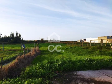 Terreno para Venda em Vieira de Leiria
