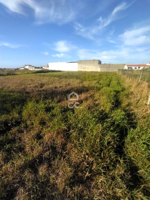 Terreno para Venda em Vieira de Leiria