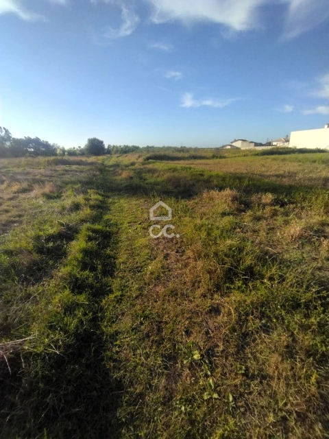 Terreno para Venda em Vieira de Leiria