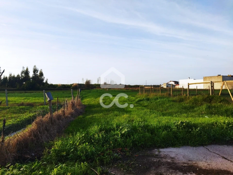 Terreno para Venda em Vieira de Leiria Foto 2