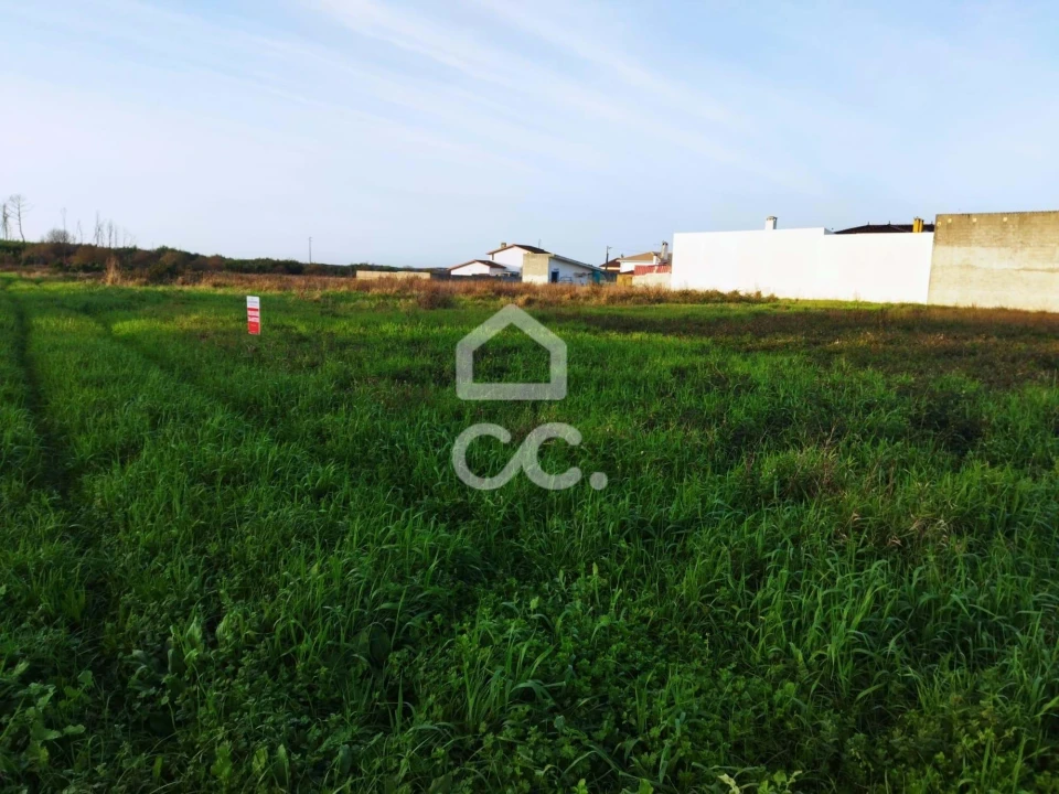 Terreno para Venda em Vieira de Leiria Foto 5