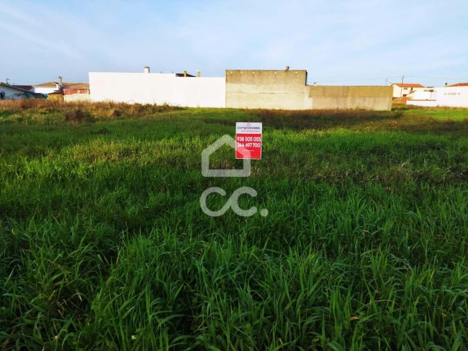 Terreno para Venda em Vieira de Leiria Foto 3
