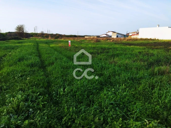 Terreno para Venda em Vieira de Leiria Foto 10