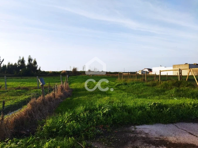 Terreno para Venda em Vieira de Leiria Foto 2