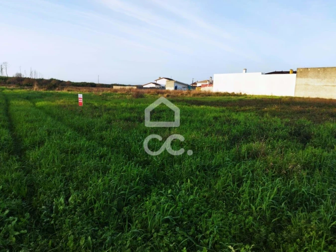 Terreno para Venda em Vieira de Leiria Foto 5