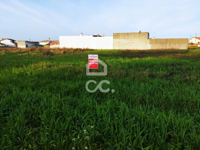 Terreno para Venda em Vieira de Leiria Foto 9