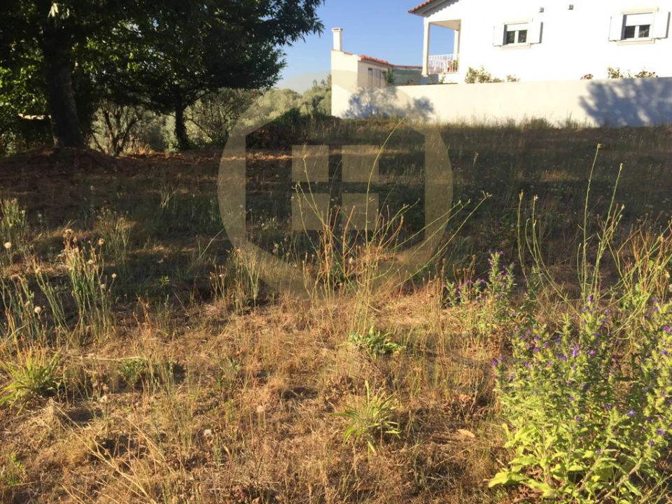 Terreno para Venda em Fornos de Maceira Dão Foto 2