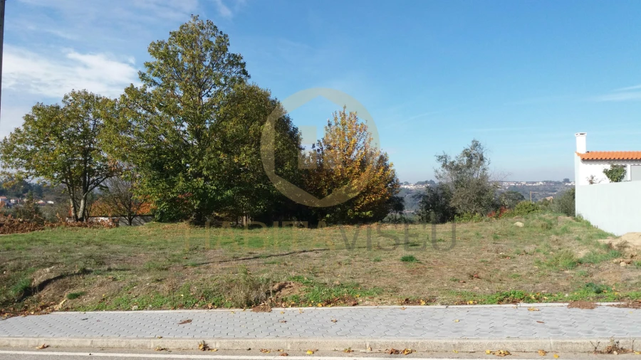 Terreno para Venda em Fornos de Maceira Dão Foto 9