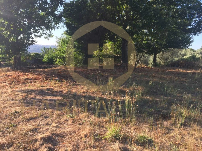 Terreno para Venda em Fornos de Maceira Dão Foto 5