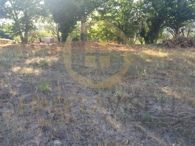 Terreno para Venda em Fornos de Maceira Dão Foto 7