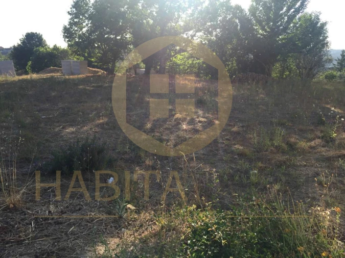 Terreno para Venda em Fornos de Maceira Dão Foto 6