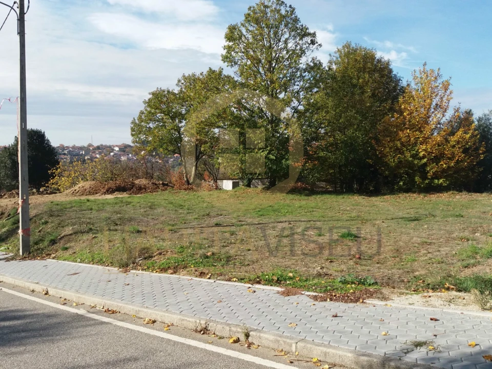 Terreno para Venda em Fornos de Maceira Dão Foto 1