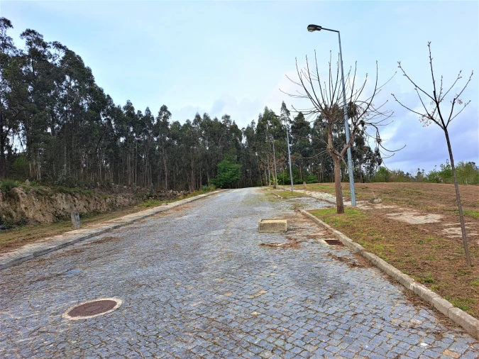 Terreno para Venda em Priscos Foto 2