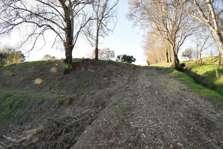 Terreno Agricola ou Rústico para Venda em Orjais Foto 16