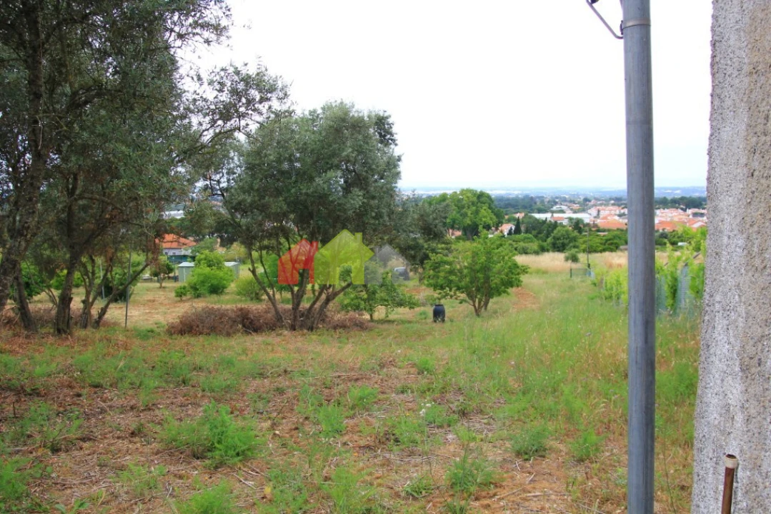 Terreno para Venda em Azeitão (São Lourenço e São Simão) Foto 17