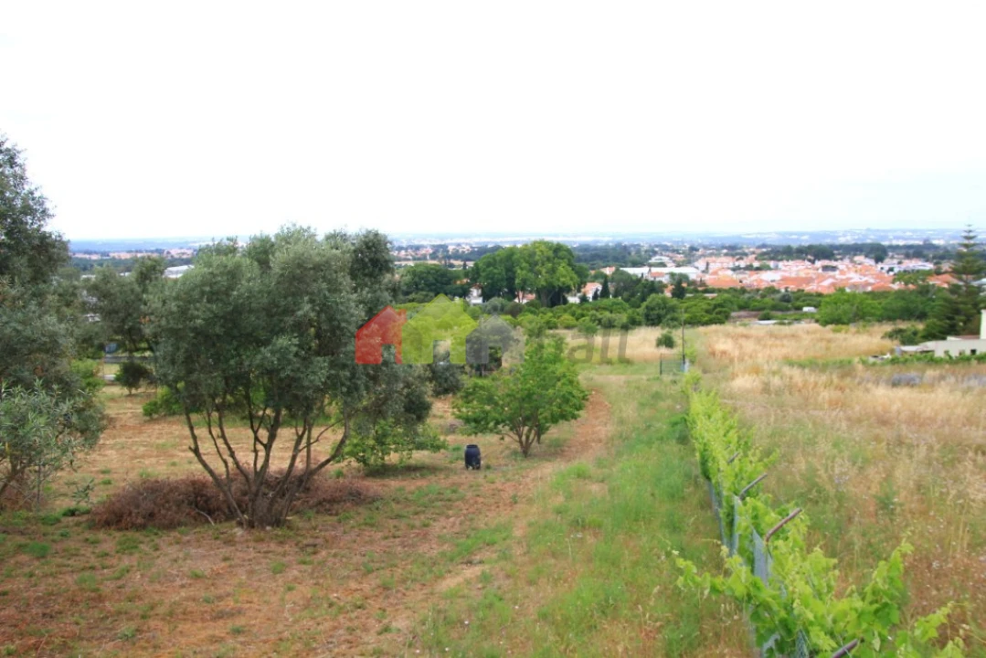 Terreno para Venda em Azeitão (São Lourenço e São Simão) Foto 2