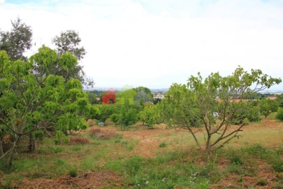 Terreno para Venda em Azeitão (São Lourenço e São Simão)