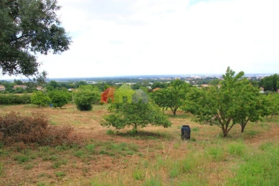Terreno para Venda em Azeitão (São Lourenço e São Simão)