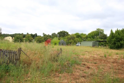 Terreno para Venda em Azeitão (São Lourenço e São Simão)