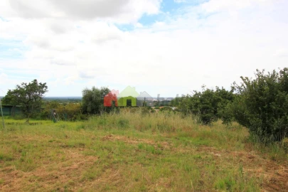 Terreno para Venda em Azeitão (São Lourenço e São Simão)