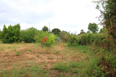 Terreno para Venda em Azeitão (São Lourenço e São Simão)