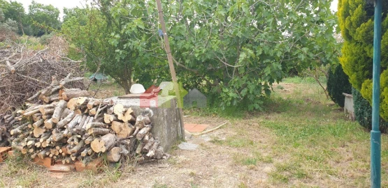 Terreno para Venda em Azeitão (São Lourenço e São Simão)