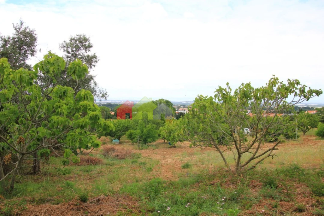 Terreno para Venda em Azeitão (São Lourenço e São Simão) Foto 16