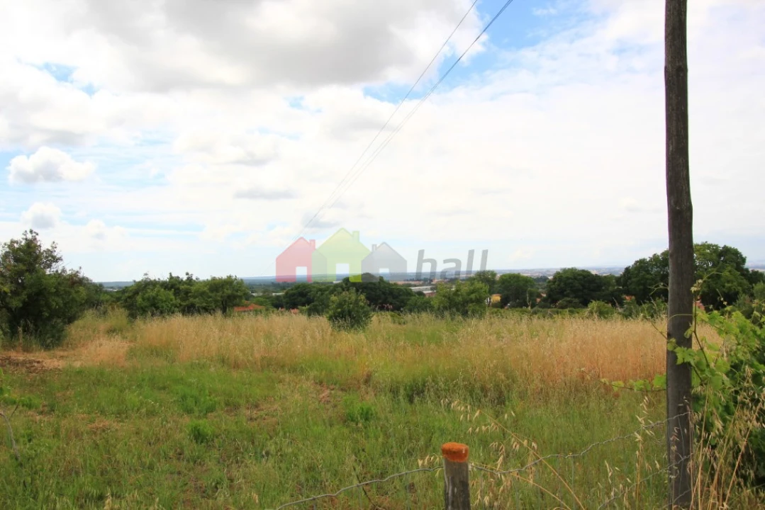 Terreno para Venda em Azeitão (São Lourenço e São Simão) Foto 5