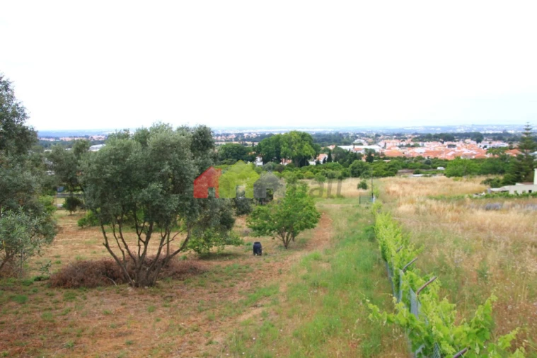 Terreno para Venda em Azeitão (São Lourenço e São Simão) Foto 2