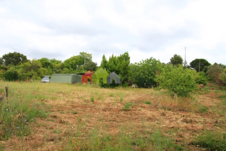 Terreno para Venda em Azeitão (São Lourenço e São Simão) Foto 6