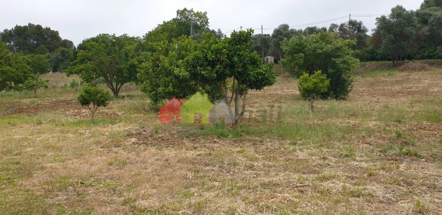 Terreno para Venda em Azeitão (São Lourenço e São Simão) Foto 12