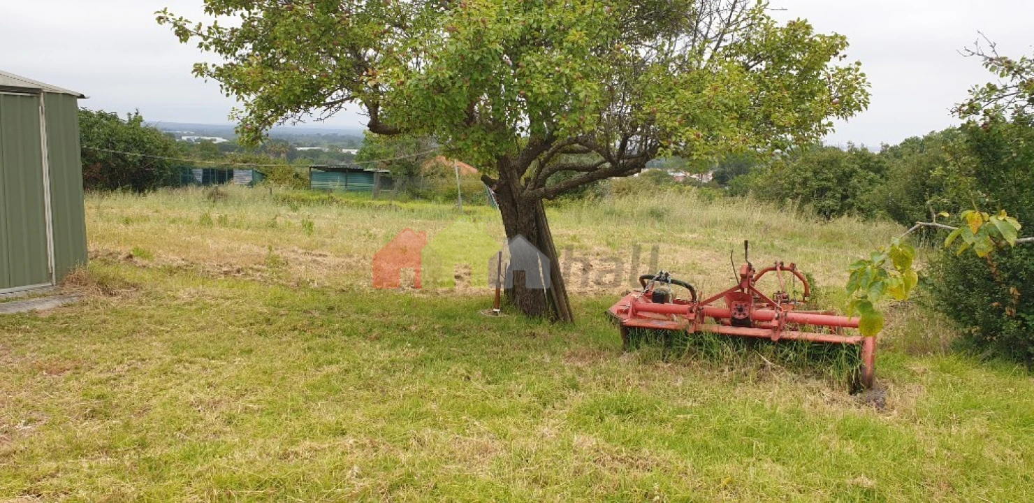 Terreno para Venda em Azeitão (São Lourenço e São Simão) Foto 10