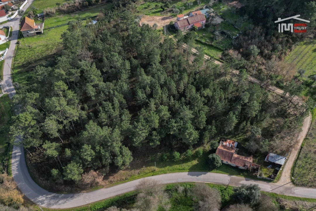 Terreno Agricola ou Rústico para Venda em Seiça Foto 20