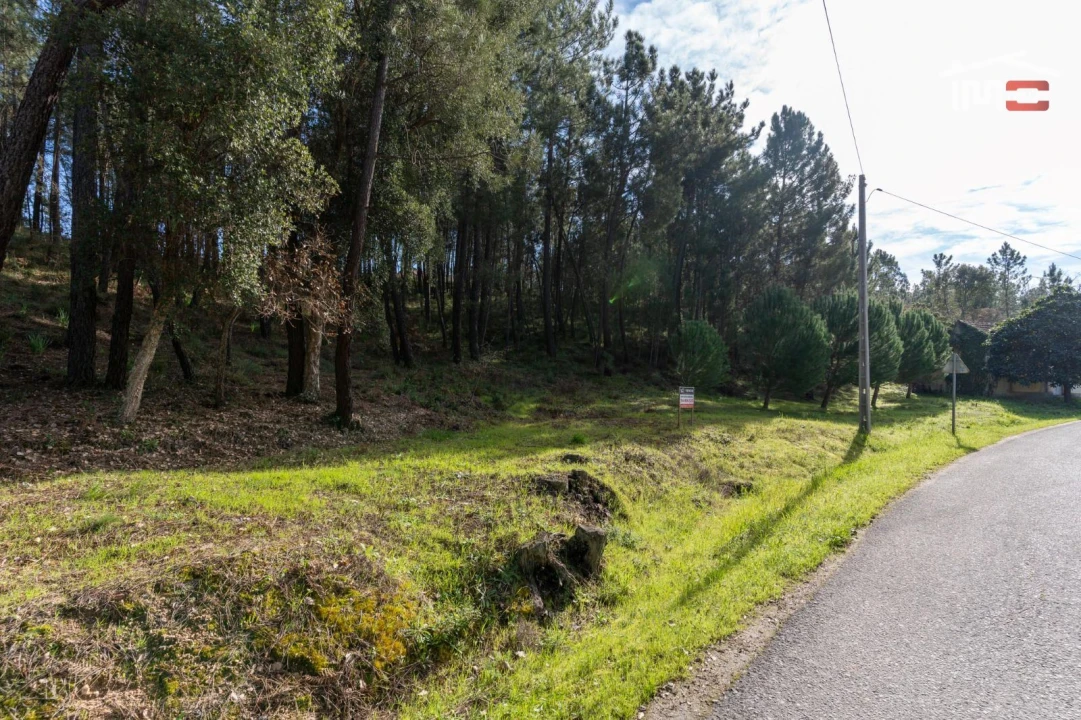 Terreno Agricola ou Rústico para Venda em Seiça Foto 21