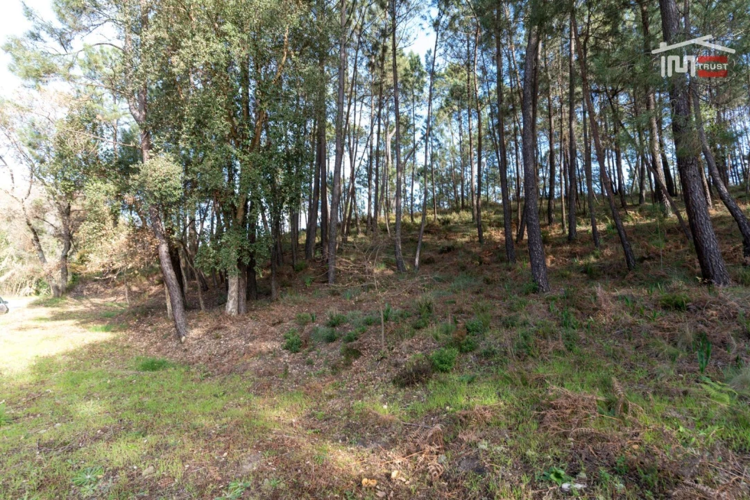 Terreno Agricola ou Rústico para Venda em Seiça Foto 10