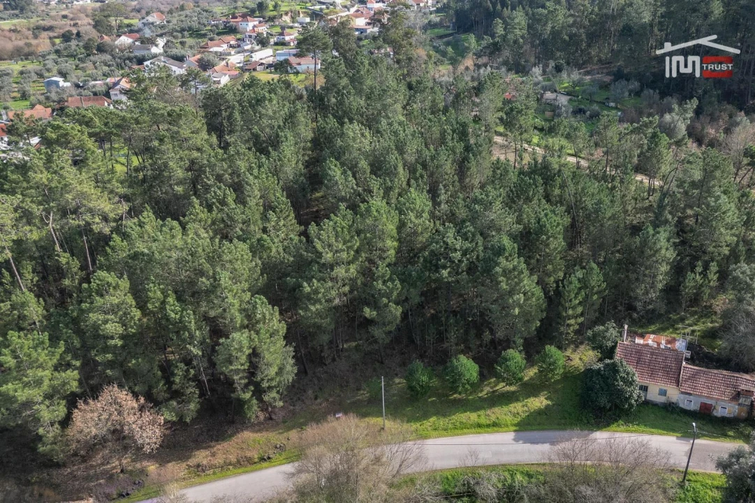 Terreno Agricola ou Rústico para Venda em Seiça Foto 17