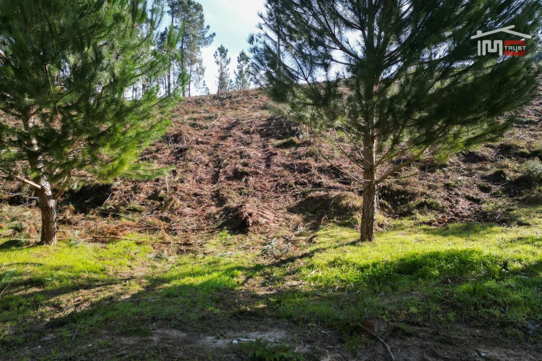 Terreno Agricola ou Rústico para Venda em Seiça Foto 7