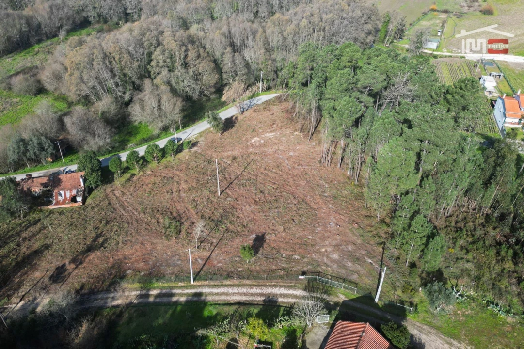Terreno Agricola ou Rústico para Venda em Seiça Foto 6