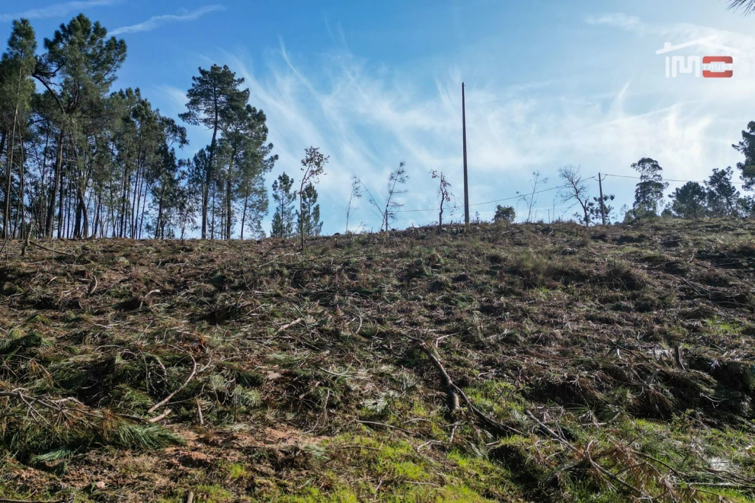 Terreno Agricola ou Rústico para Venda em Seiça Foto 11