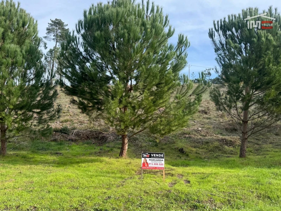 Terreno Agricola ou Rústico para Venda em Seiça Foto 1