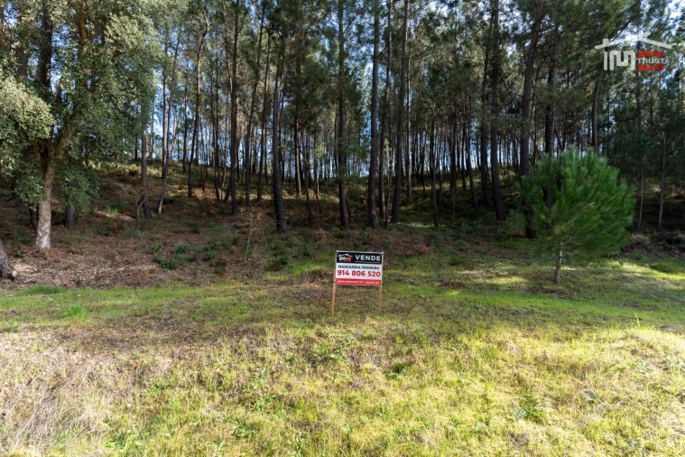 Terreno Agricola ou Rústico para Venda em Seiça Foto 19