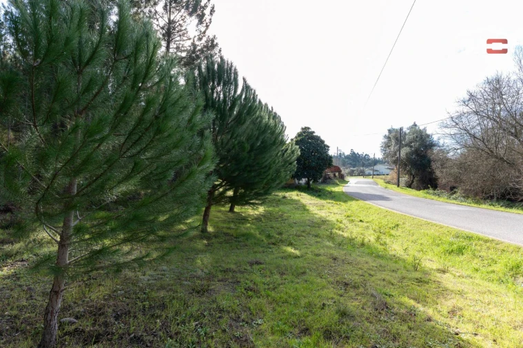 Terreno Agricola ou Rústico para Venda em Seiça Foto 4