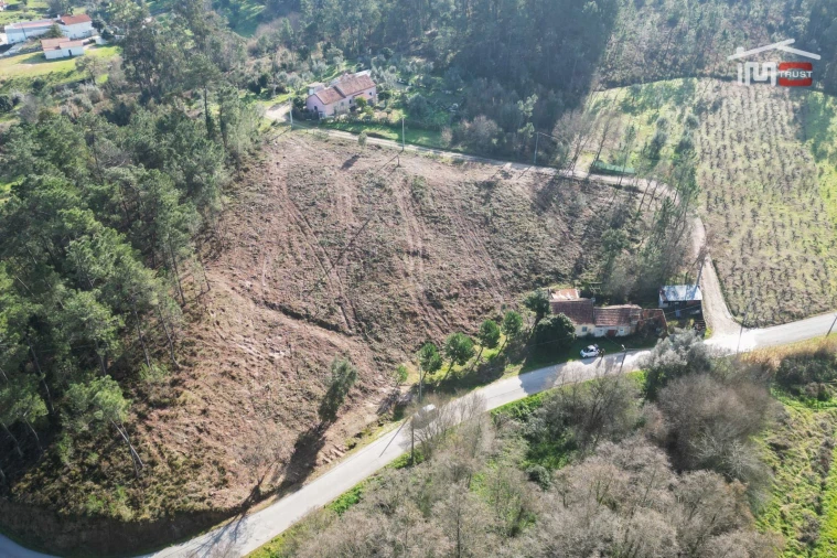 Terreno Agricola ou Rústico para Venda em Seiça Foto 8
