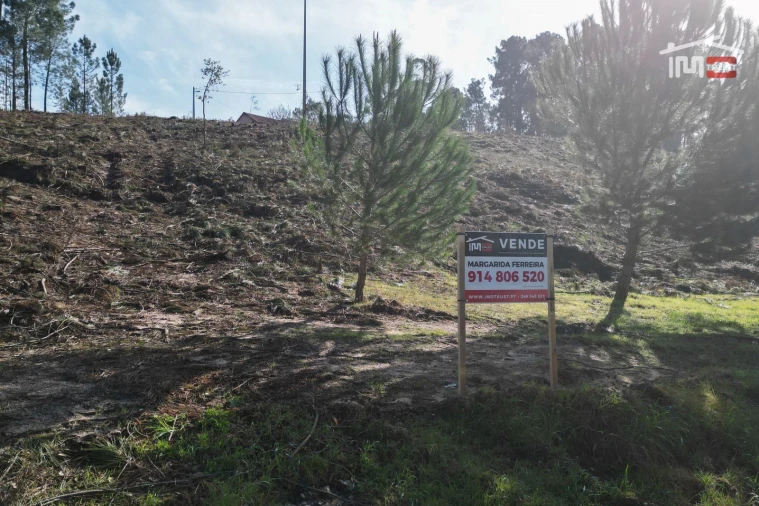 Terreno Agricola ou Rústico para Venda em Seiça Foto 5