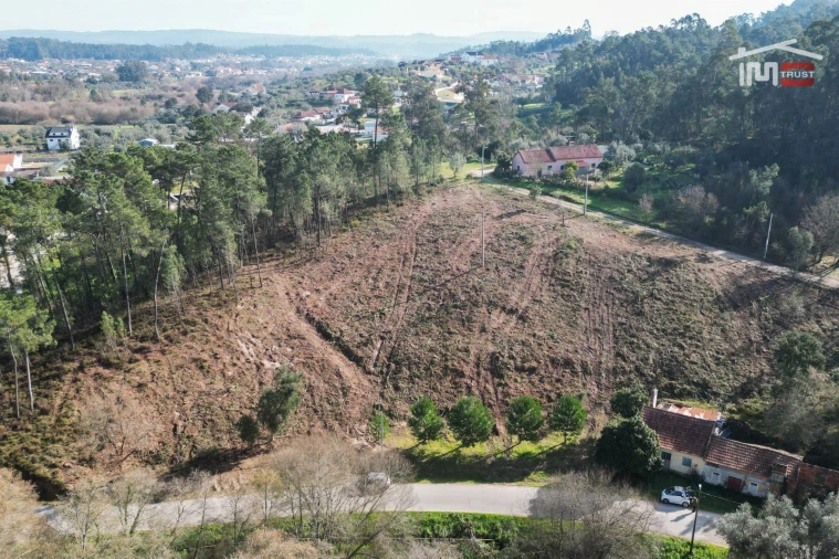 Terreno Agricola ou Rústico para Venda em Seiça Foto 9
