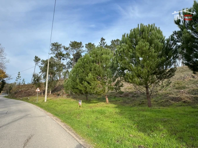 Terreno Agricola ou Rústico para Venda em Seiça Foto 2