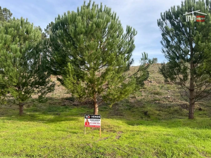 Terreno Agricola ou Rústico para Venda em Seiça Foto 29