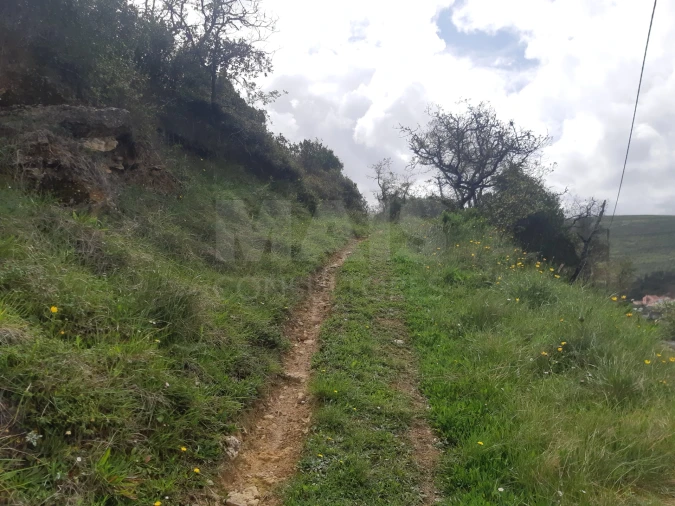 Terreno para Venda em Lousa