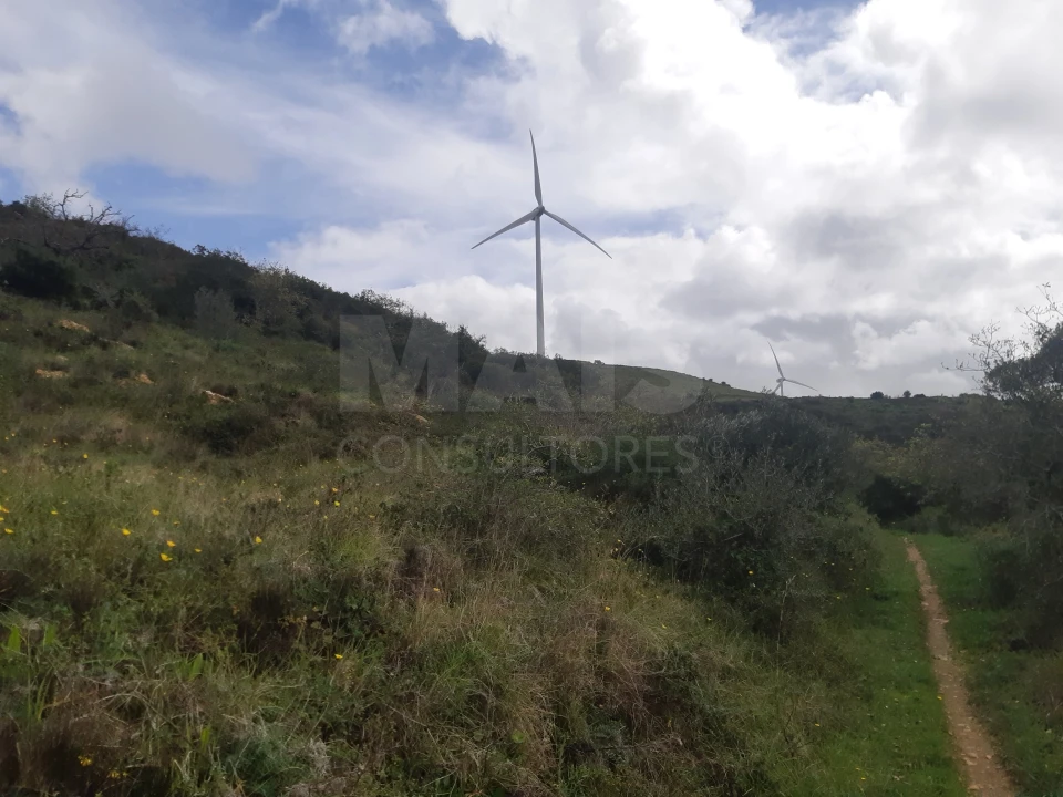 Terreno para Venda em Lousa Foto 3