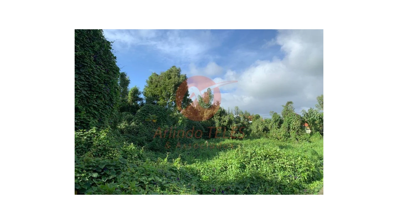 Terreno para Venda em Angra (São Pedro) Foto 16